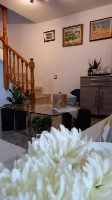 הוילה קאנייס Casa Joana מראה חיצוני תמונה